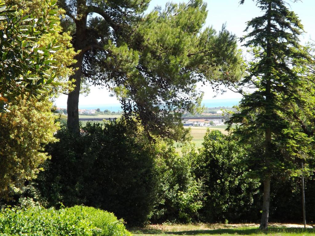 Tenuta Villa Colle Sereno Montemarciano Exterior foto