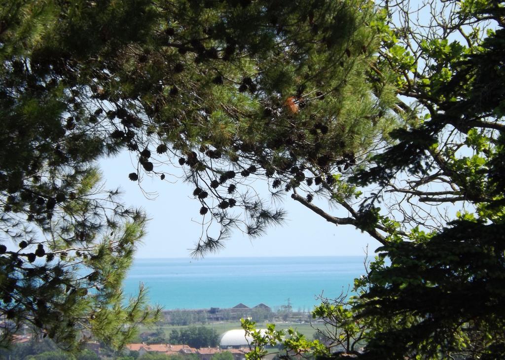 Tenuta Villa Colle Sereno Montemarciano Exterior foto